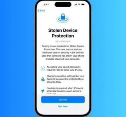 龙州苹果授权维修店分享被盗设备保护功能开启方法 