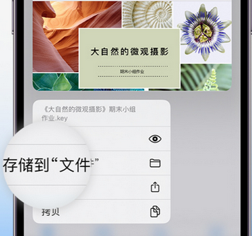 龙州apple维修中心分享iPhone文件应用中存储和找到下载文件