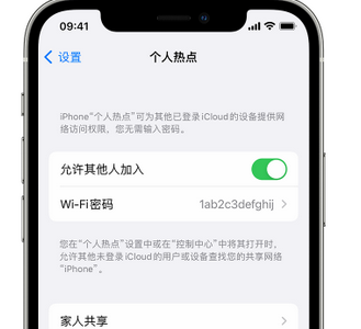 龙州apple服务站点分享iPhone上个人热点丢失了怎么办 