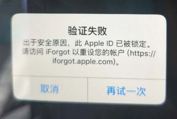 龙州iPhone维修分享iPhone上正常登录或使用AppleID怎么办 