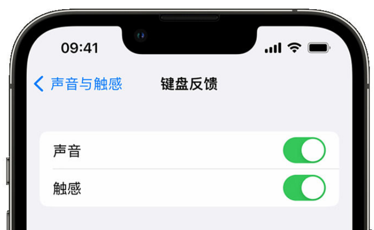 龙州苹果手机维修分享iPhone 14触感键盘使用方法 