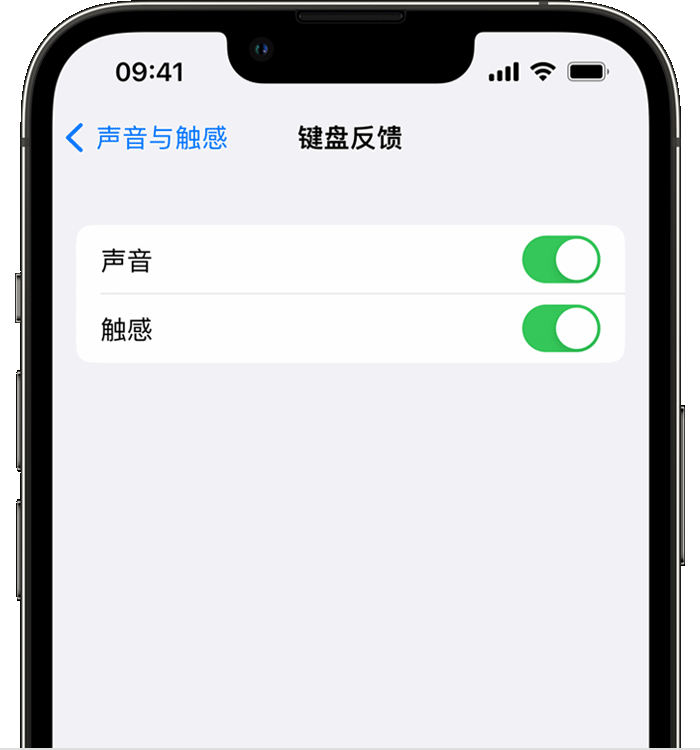 龙州苹果14维修店分享如何在 iPhone 14 机型中使用触感键盘 