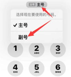 龙州苹果14维修店分享iPhone 14 Pro Max使用副卡打电话的方法 