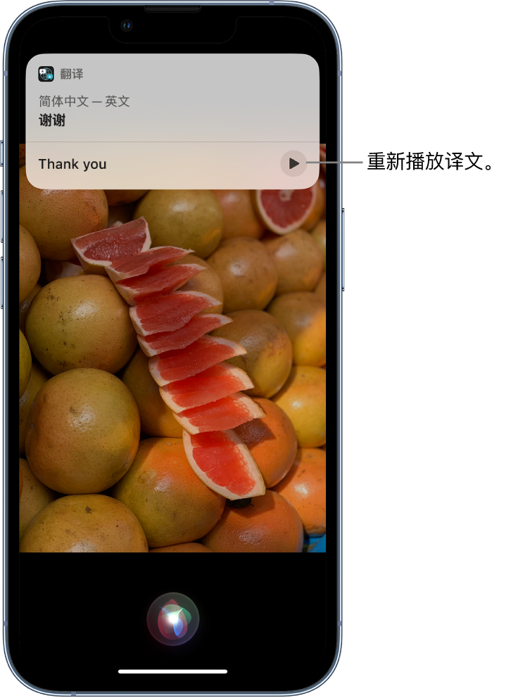 龙州苹果14维修分享 iPhone 14 机型中使用 Siri：了解 Siri 能帮你做什么 