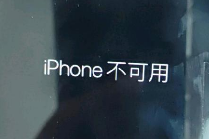 龙州苹果服务网点分享锁屏界面显示“iPhone 不可用”如何解决 