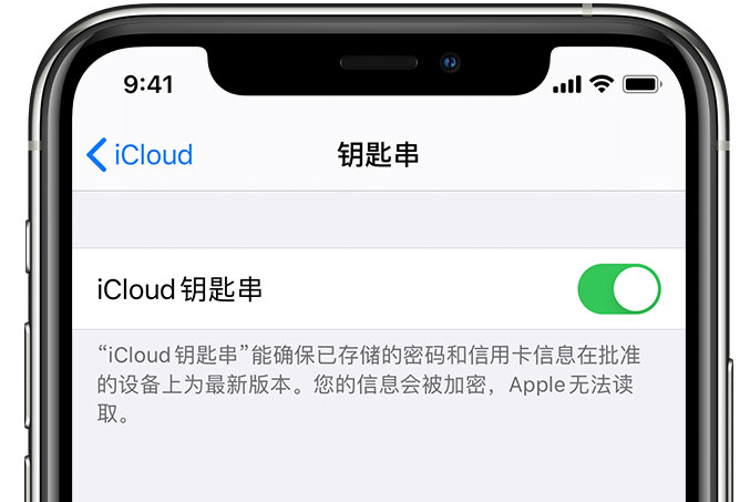 龙州苹果手机维修分享在 iPhone 上开启 iCloud 钥匙串之后会储存哪些信息 