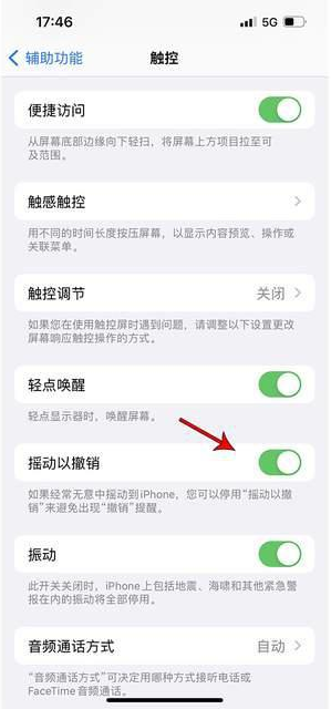 龙州苹果手机维修分享iPhone手机如何设置摇一摇删除文字 