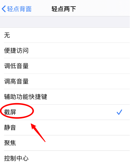 龙州苹果手机维修分享iPhone12如何启用双击截屏 