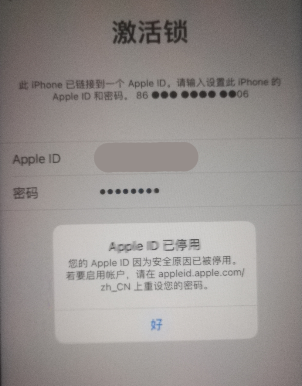 龙州苹果手机维修分享iPhone 12 出现提示“Apple ID 已停用”怎么办 